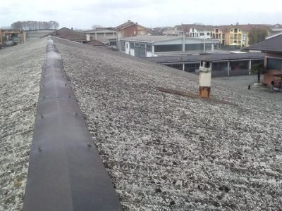 20180413_121019_HDR-640w