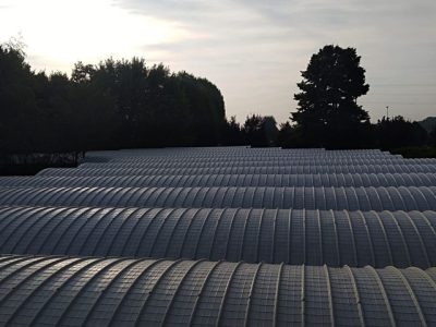 IMG-20180929-WA0130-640w